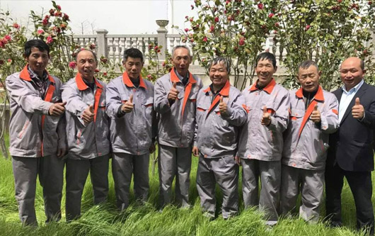 綠化(hua)糰(tuan)隊(duì)